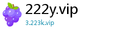 222y.vip